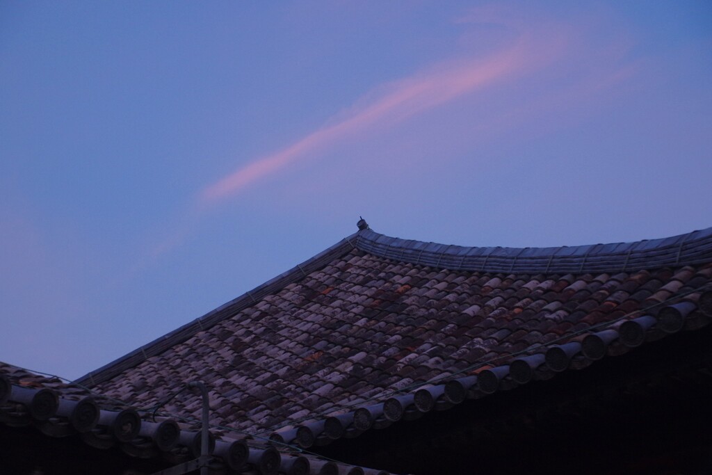 飛鳥時代の瓦