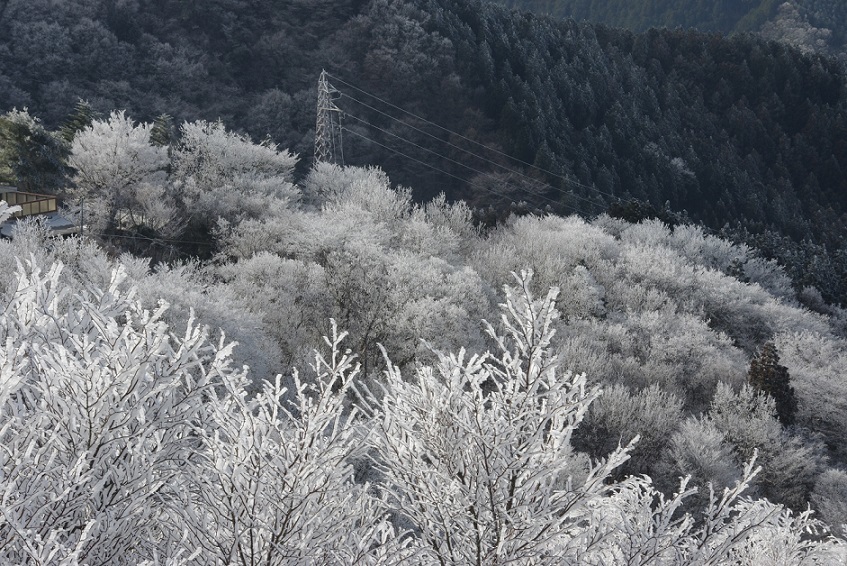 鉄塔のある風景