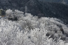 鉄塔のある風景