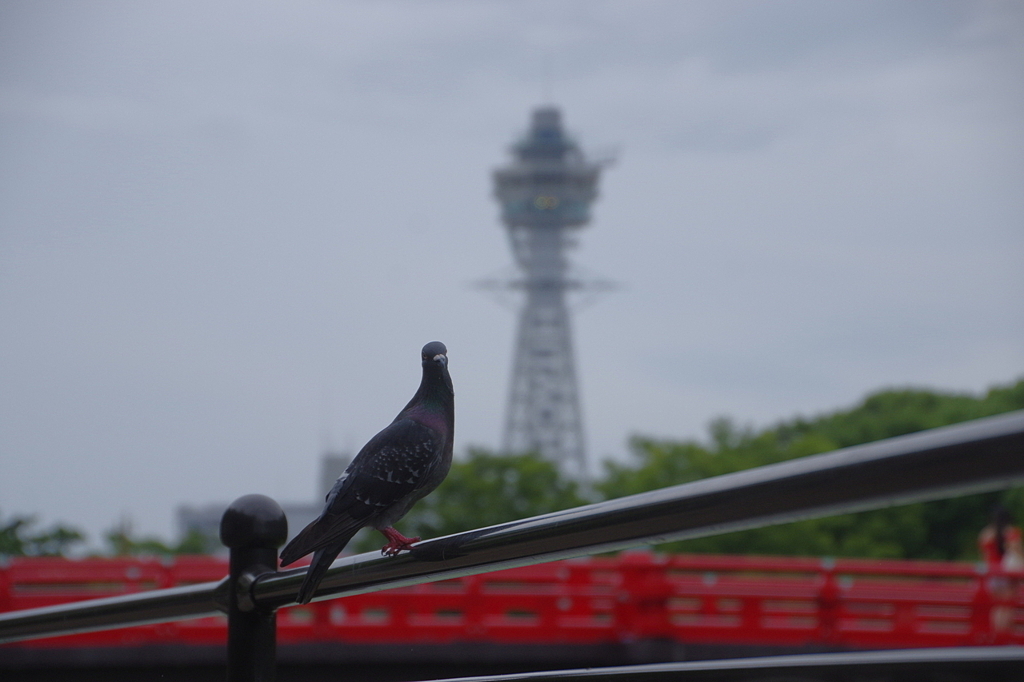 なんやねん