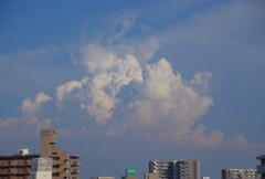 奈良の雲