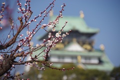 梅と天守閣