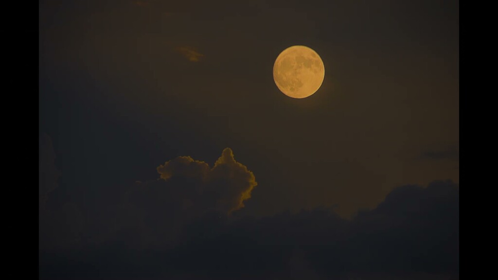 今夜は満月