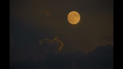 今夜は満月