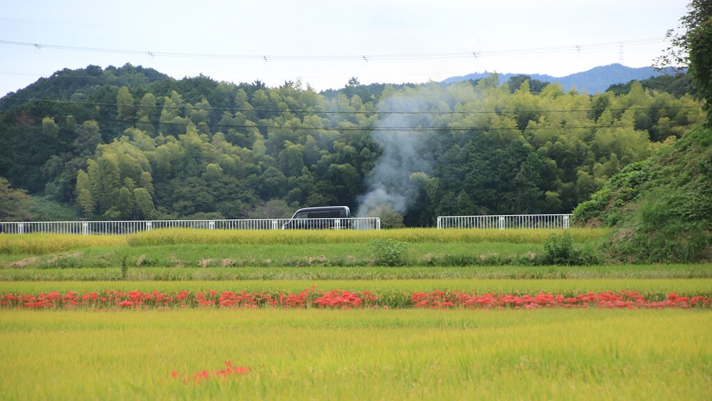 明日香村