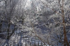 樹氷の階段