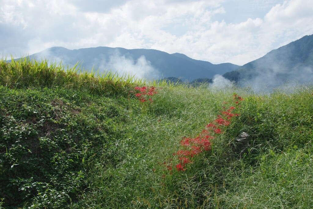 里のけむり
