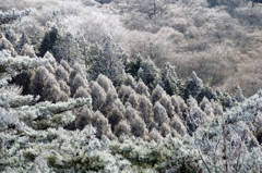 凍る山
