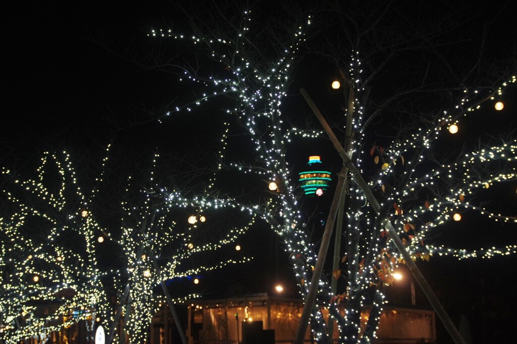 通天閣が見えるイルミネーション