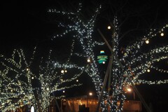 通天閣が見えるイルミネーション