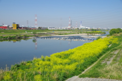 大和川にて