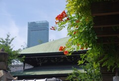 高層ビルと花