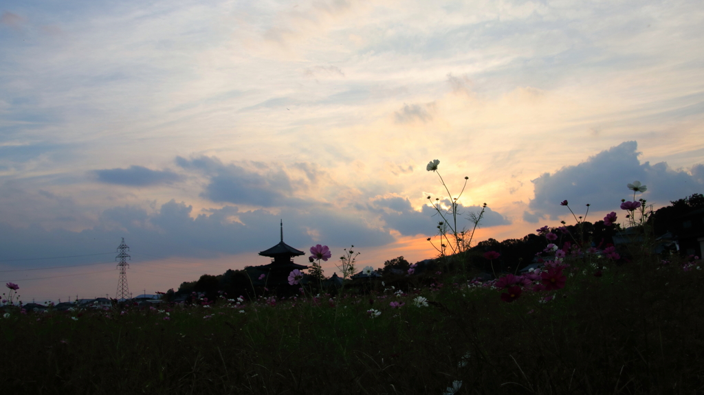 暮れゆく法起寺