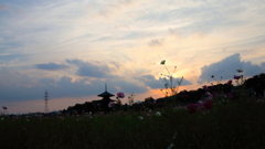 暮れゆく法起寺