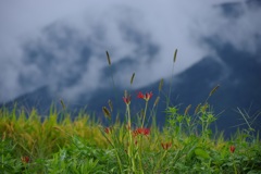雲上がる金剛山（奈良県　御所市）