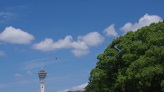 夏空