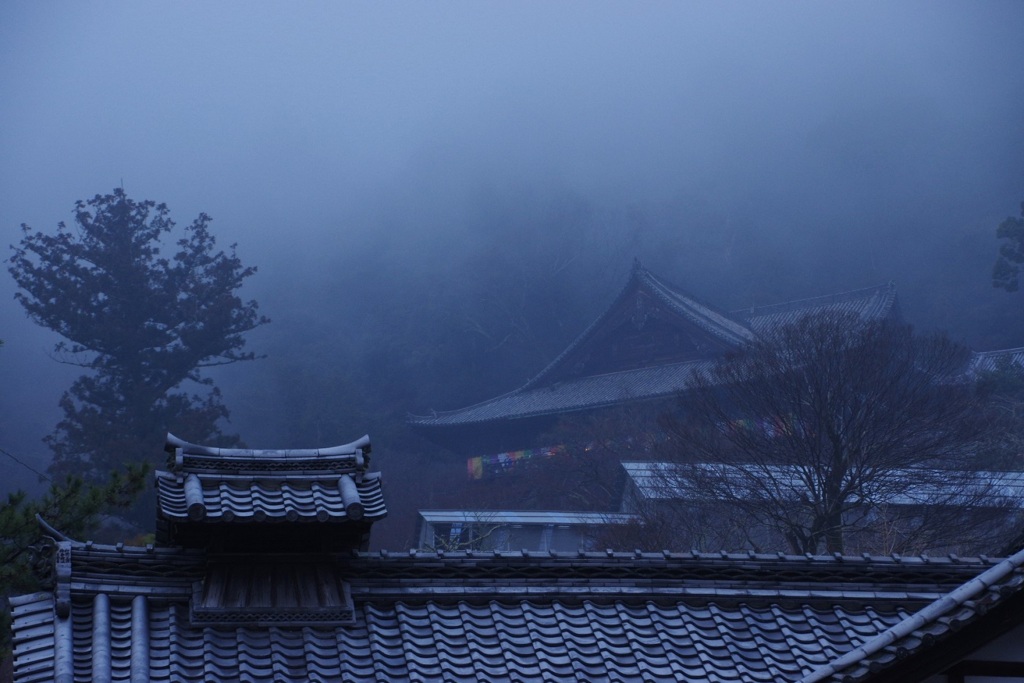 煙る長谷寺