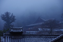 煙る長谷寺