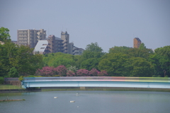 長居植物園
