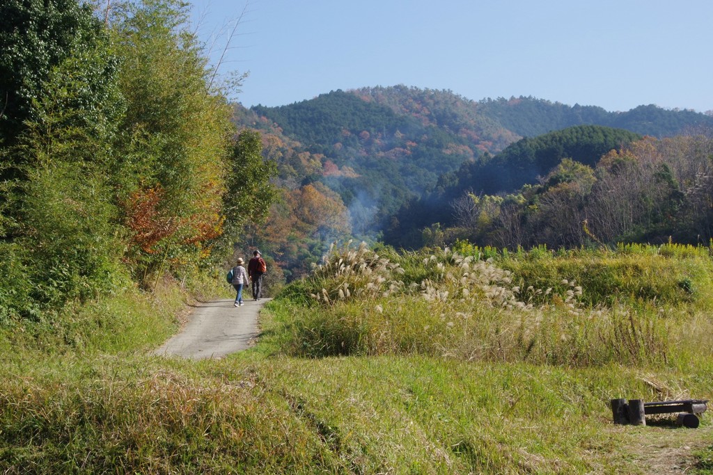 田舎道