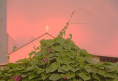 教会夕暮れ