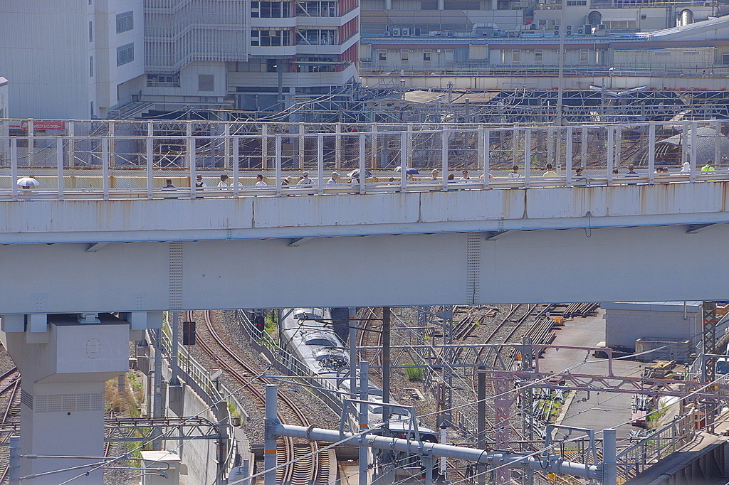 見えるかな？