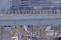 見えるかな？