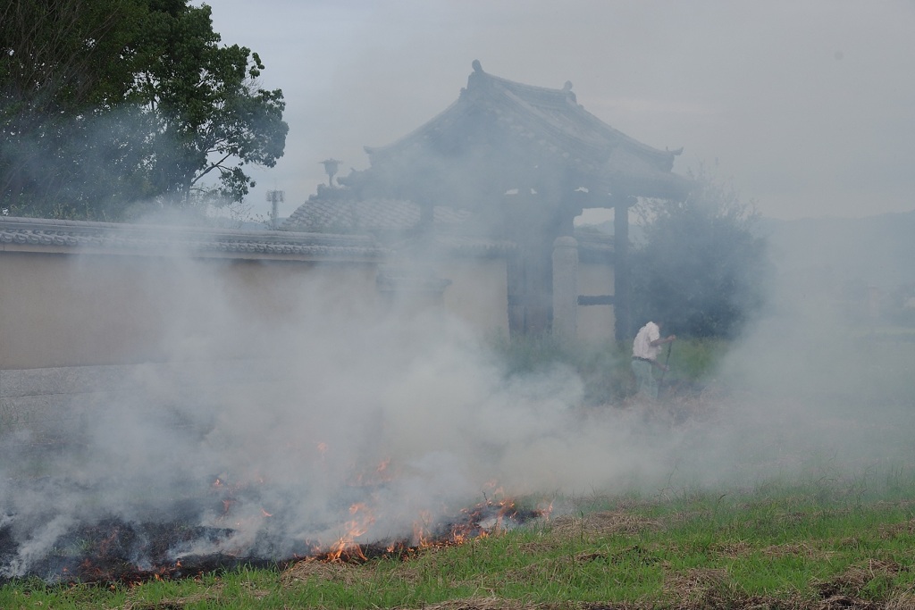 草焼き