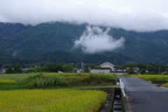 雨上がりの葛城路