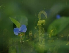 合成（１）