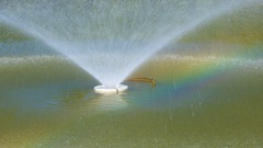 噴水の虹