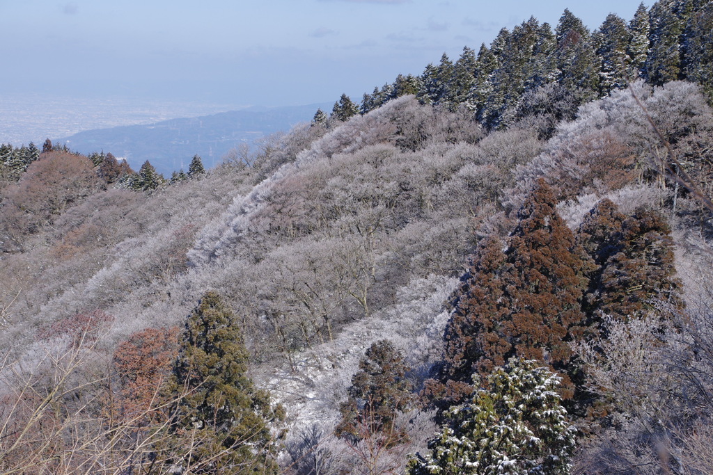 金剛山