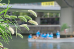 鉾流し神事（２）どんどこ船