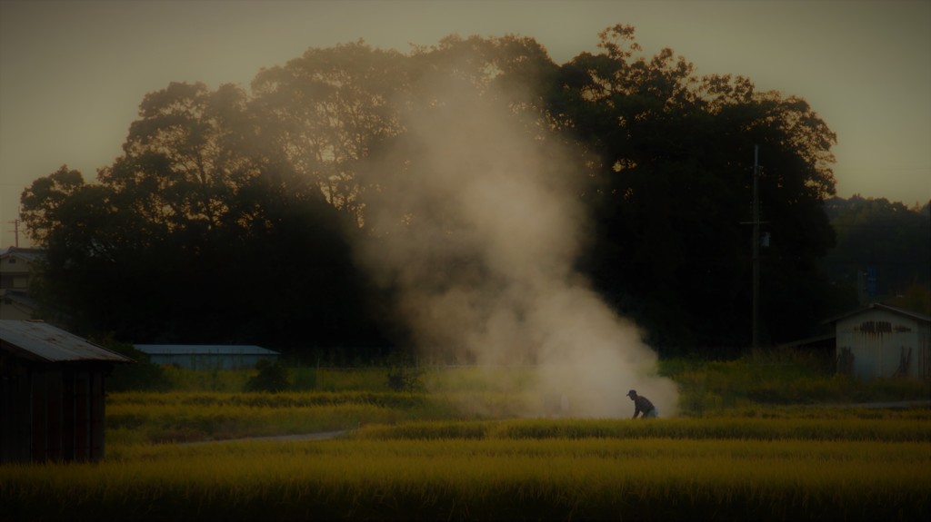 「おしめんせー」