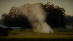 「おしめんせー」