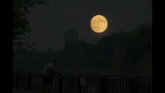今夜は満月