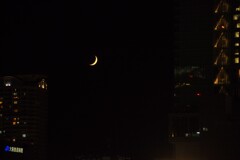 昨晩の月