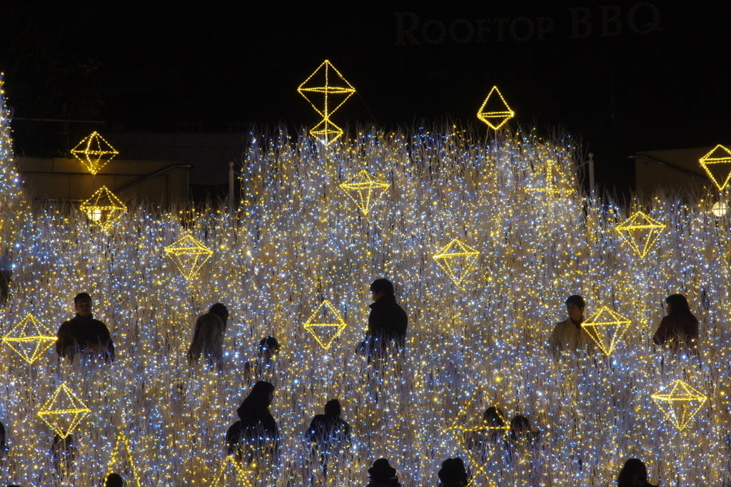 イルミナーション