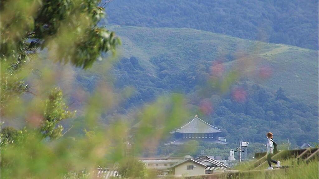 大仏殿遠望