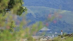大仏殿遠望