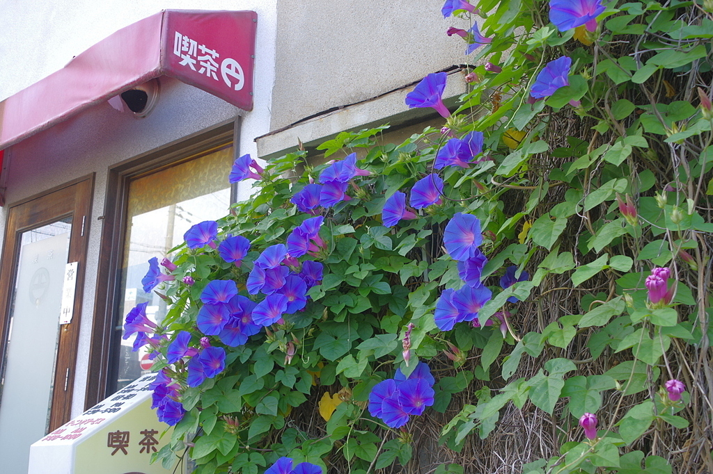 昭和レトロ