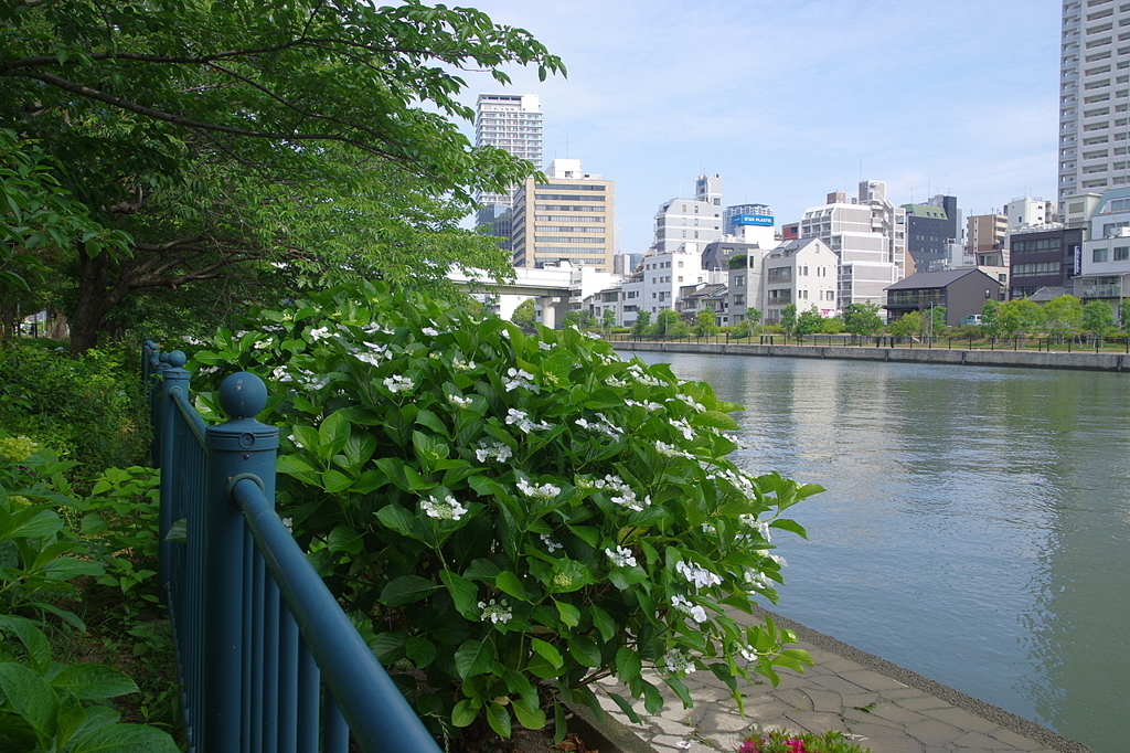大阪　中之島