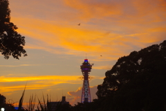 茶臼山夕暮れ