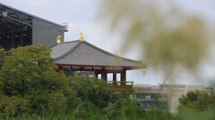 姿を現わす