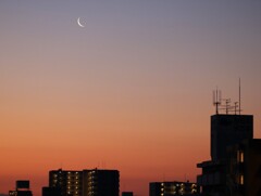 今朝は三日月