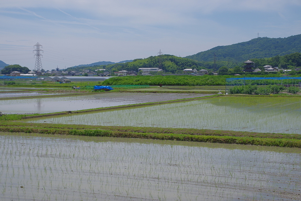 斑鳩二塔
