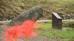 文化財です　飛鳥のマラ石