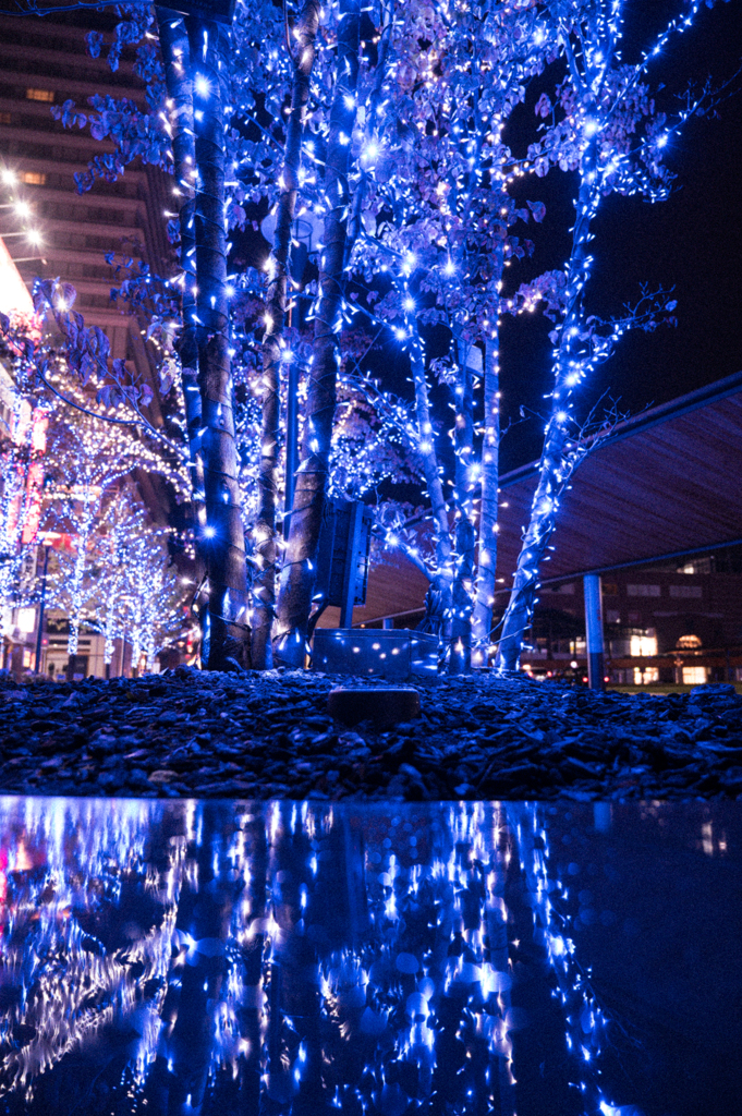 夜の大分駅