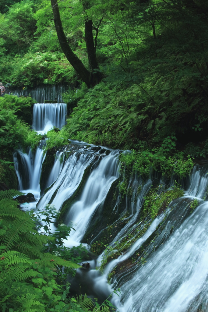 白糸の滝