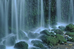 白糸の滝